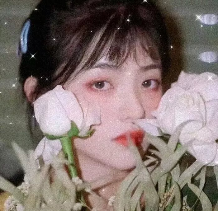 星球上的麻雀